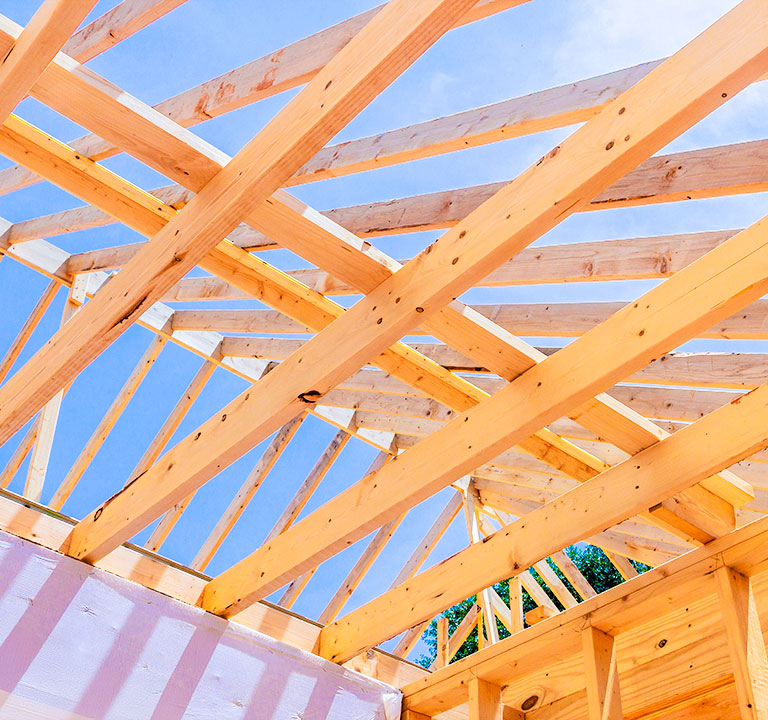 Ingenieurwerkstatt Dieringer Tragwerksplanung